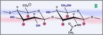 fig1