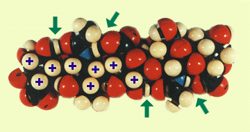 図3