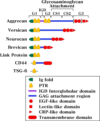 図3