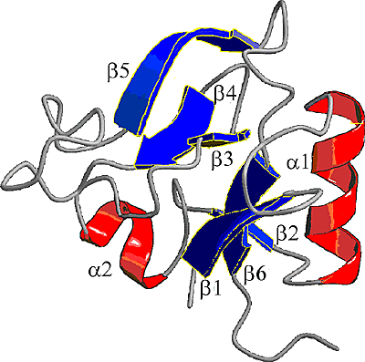 図5