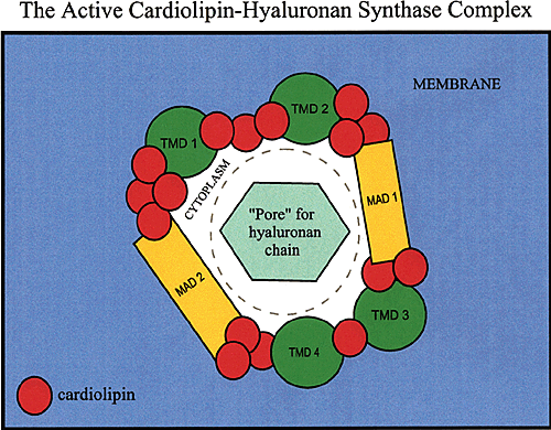 fig5