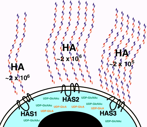 fig5