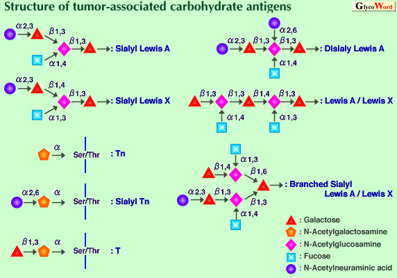 fig1