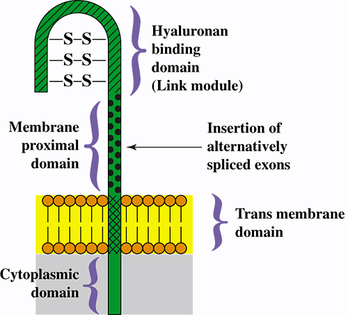 図1