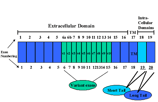 fig2