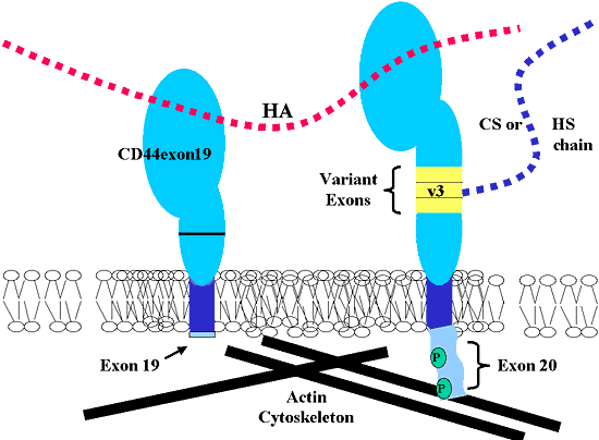 fig3