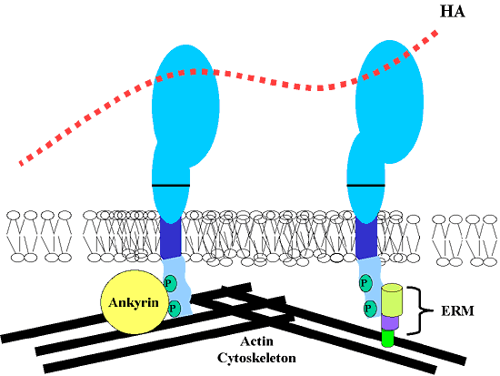 fig6