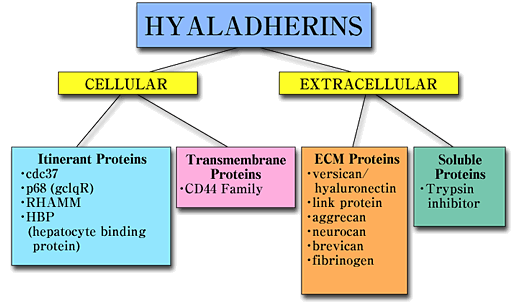 fig1