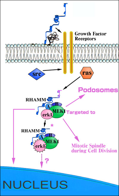 fig2