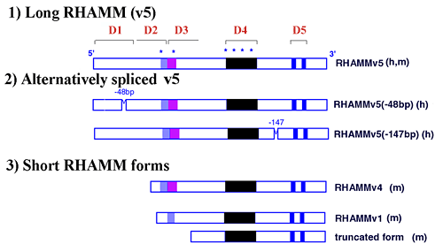 fig3