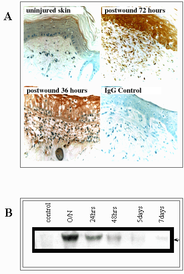 fig9