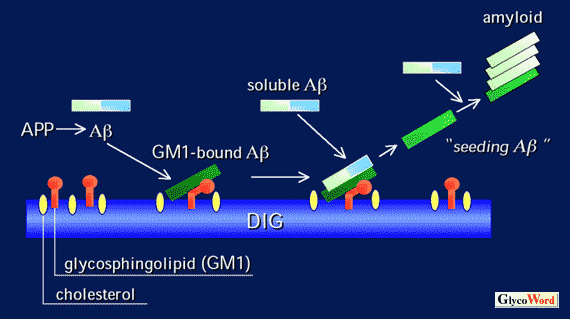 fig1