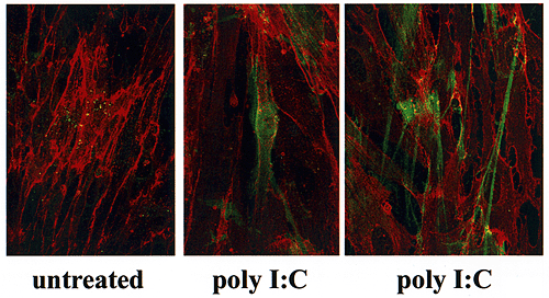 fig6