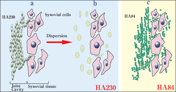 fig3