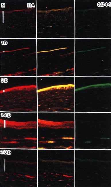 fig6