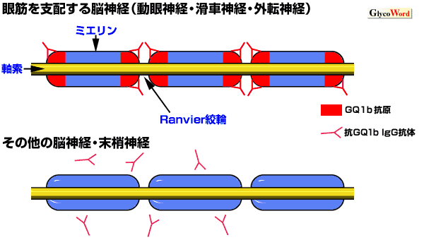 fig1