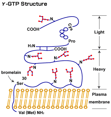 fig1