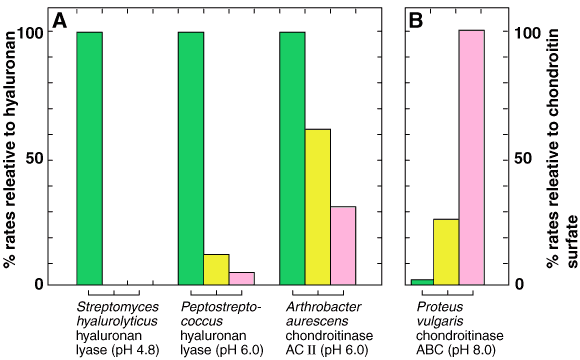 fig2