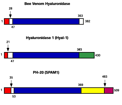 fig4