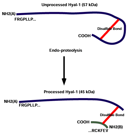 fig1