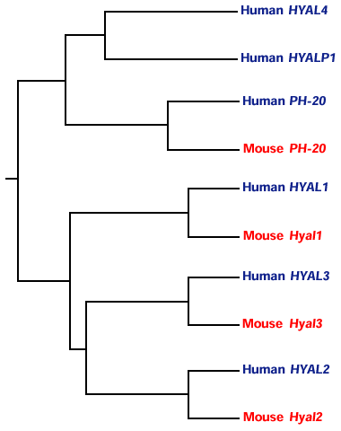 fig5