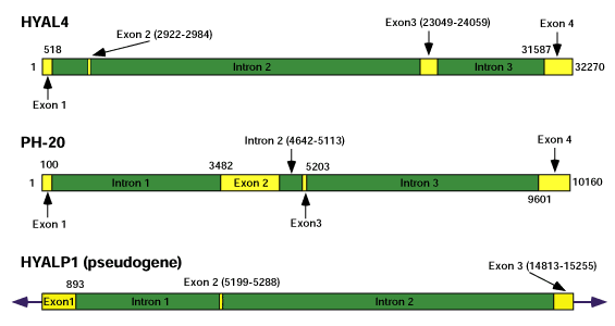 fig6