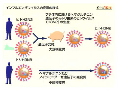 fig1