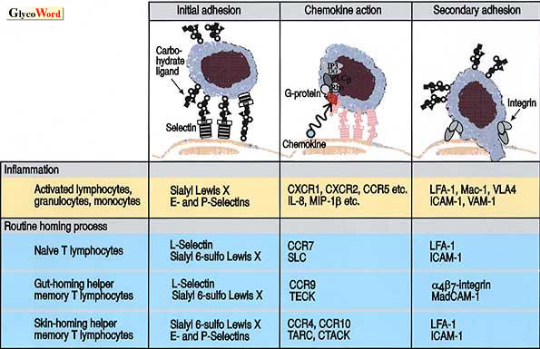 fig1