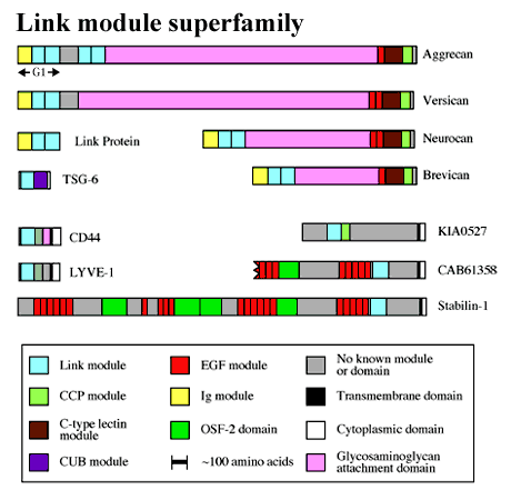 fig1