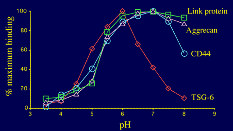 fig13