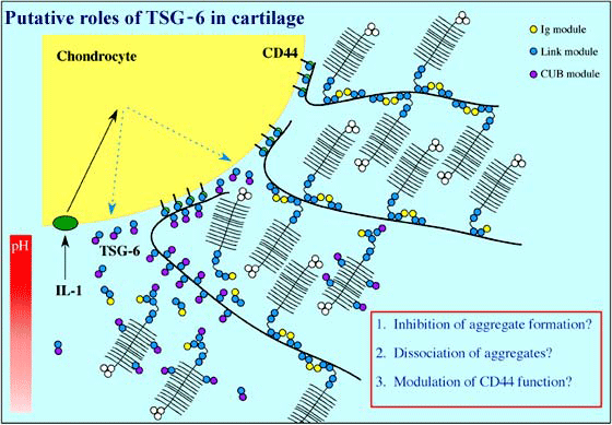 fig3