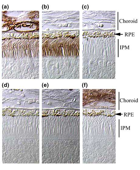 fig10