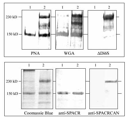 fig6