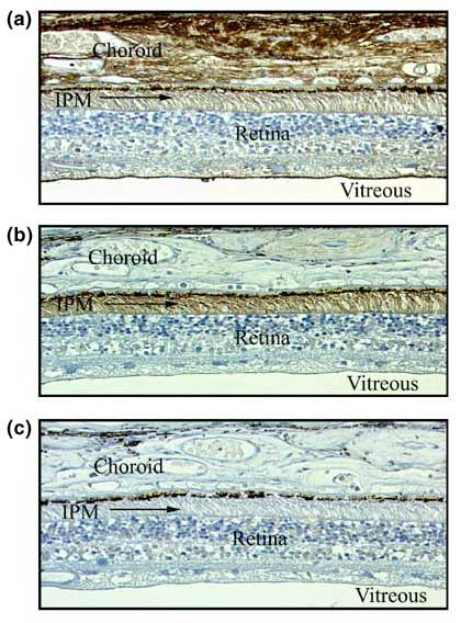 fig9