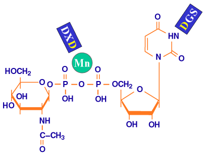 fig9