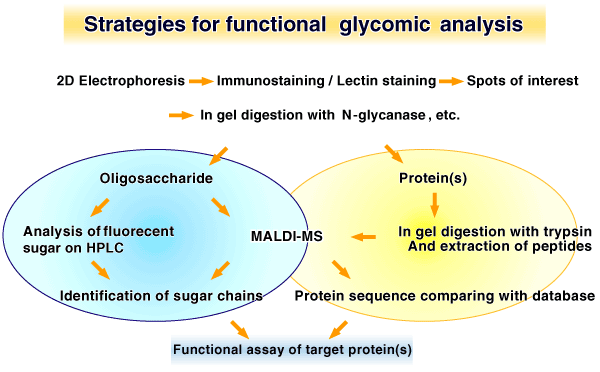 fig01