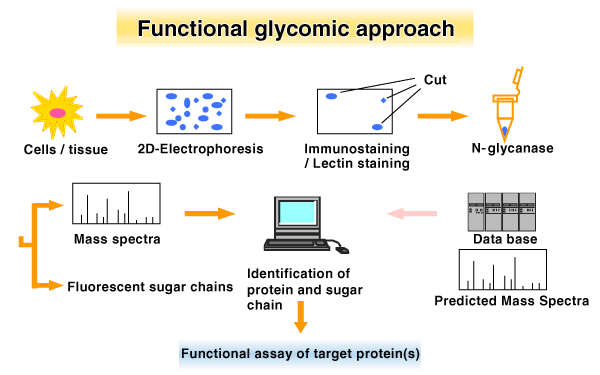 fig01