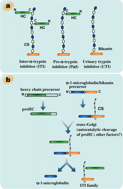 fig1