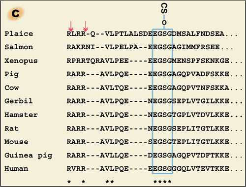 fig1