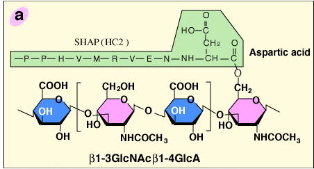 fig2