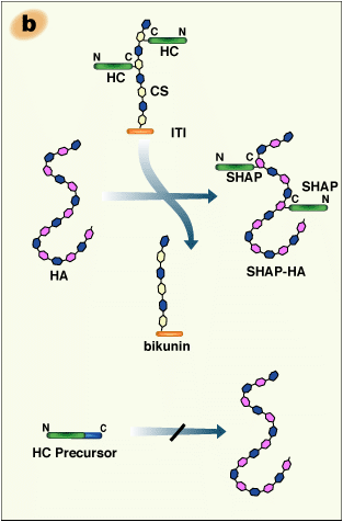 fig2