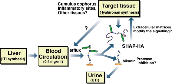 fig4