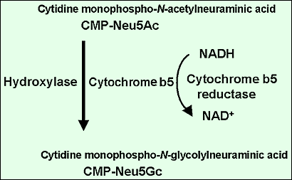 fig2