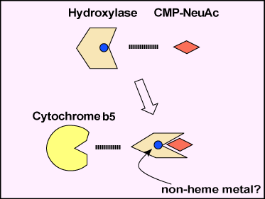 fig3