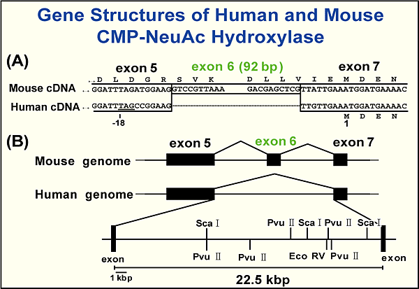 fig4