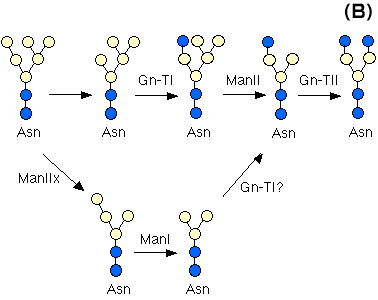 fig3