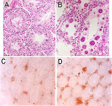 fig2