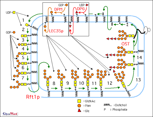 fig2