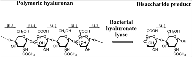 fig1