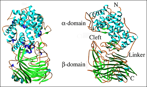 fig2